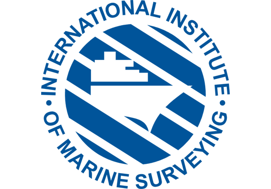 The International Institute Of Marine Surveyors
